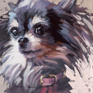 Long Haired Chihuahua Art Print