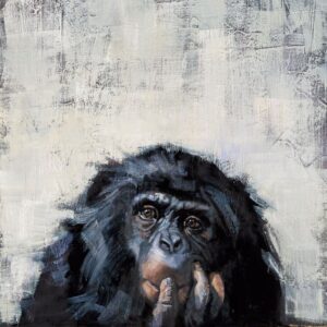 Chimpanzee Safari Animal Art Print