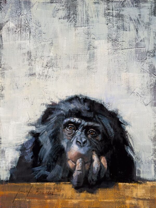Chimpanzee Safari Animal Art Print